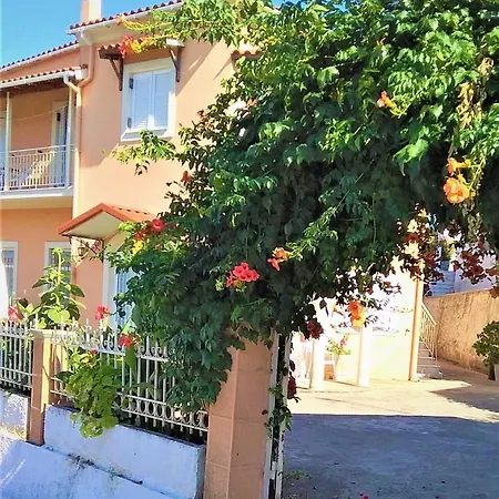 Pitsa's House